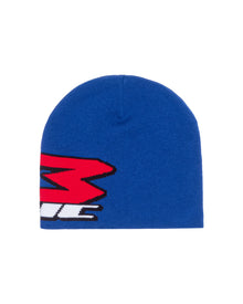 Moto Logo Skully